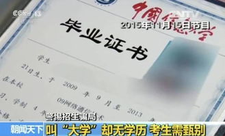 深入了解真相与应对措施
