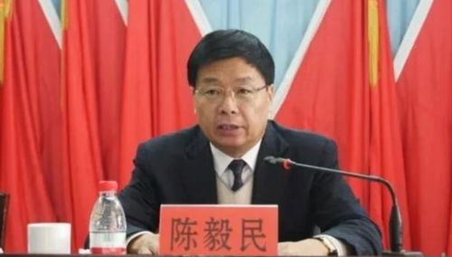 县委书记上午投案中午落马，反腐斗争中的震撼一幕与深刻启示
