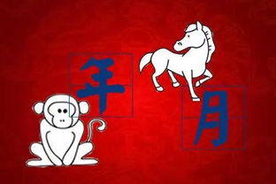 猴年马月是什么时候？揭开这个古老成语的神秘面纱