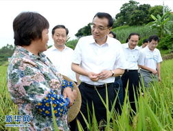 习近平田间考察记，走进大地的故事，倾听民生的脉动