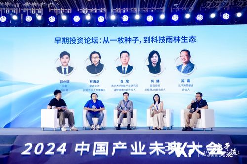 极星回应退出中国市场传闻，真相、挑战与未来展望