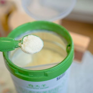 揭秘水解蛋白奶粉，宝宝健康成长的秘密武器