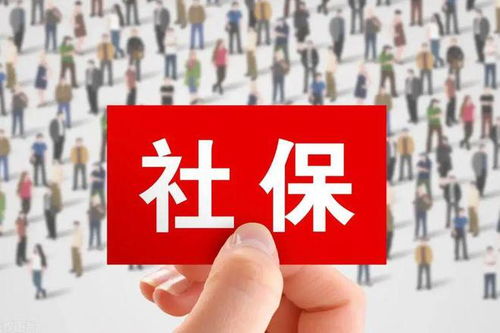 建议让个体自由选择是否缴社保，一场关于自由与保障的探讨