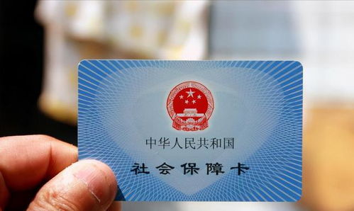 建议让个体自由选择是否缴社保，一场关于自由与保障的探讨