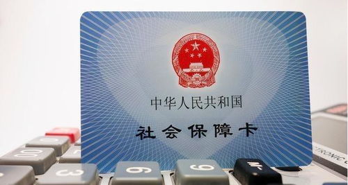 建议让个体自由选择是否缴社保，一场关于自由与保障的探讨