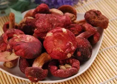 揭秘红菇的营养价值—让健康从食开始
