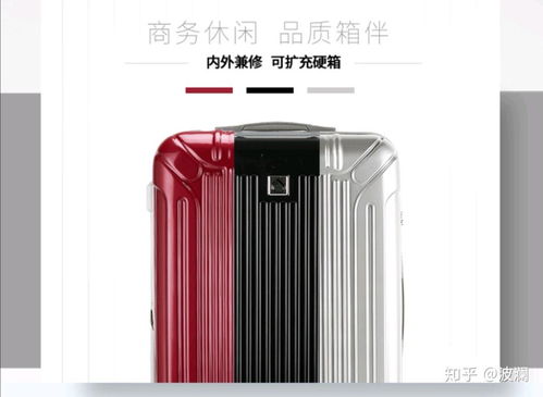 儿童拉杆箱选购指南，为孩子选择最适合的旅行伴侣