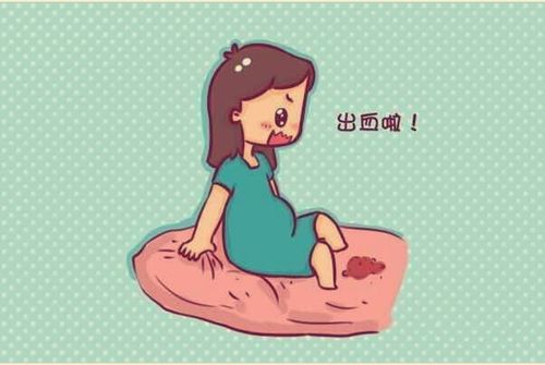 怀孕早期出血，别慌！了解真相，守护宝宝的第一步