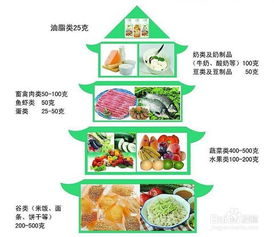 科学育儿，掌握食物营养搭配的原则，为孩子健康成长打下坚实基础