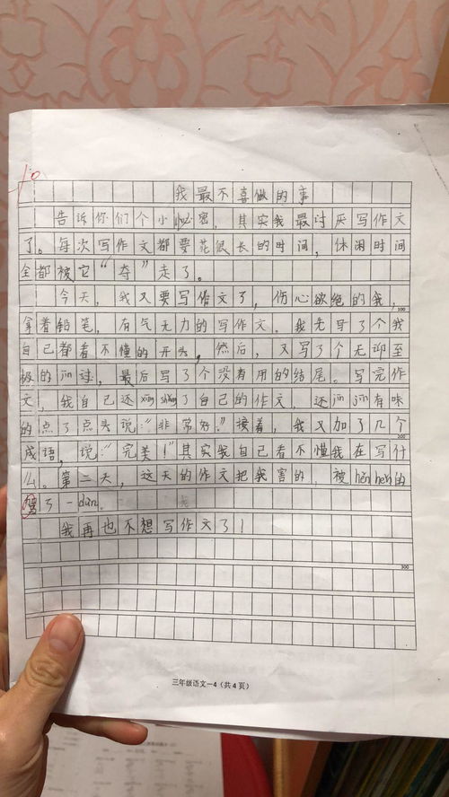 孩子的成长乐园，15篇关于玩耍的300字作文