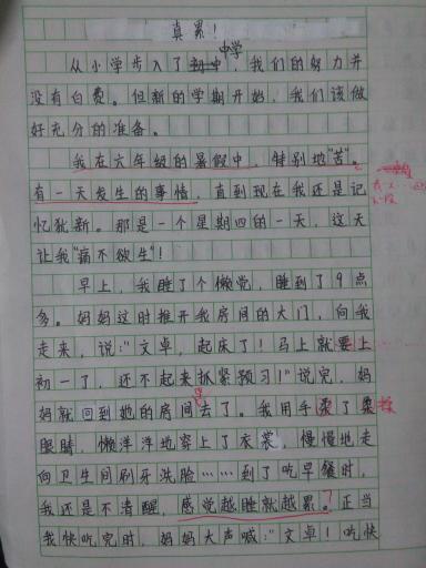 孩子的成长乐园，15篇关于玩耍的300字作文