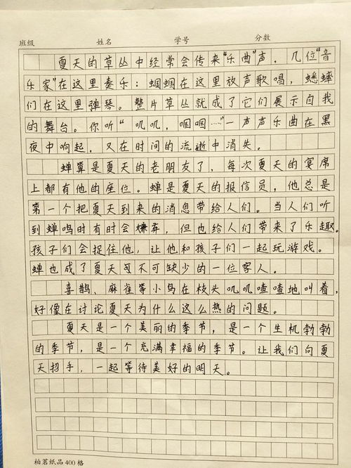 孩子的成长乐园，15篇关于玩耍的300字作文