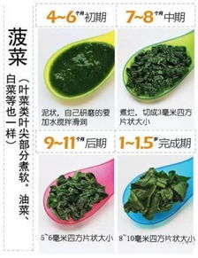 宝宝饮食指南，营养小报图片，让健康饮食一目了然