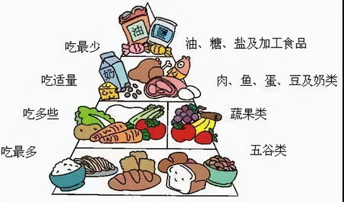 孩子健康成长的基石，均衡饮食金字塔简笔画
