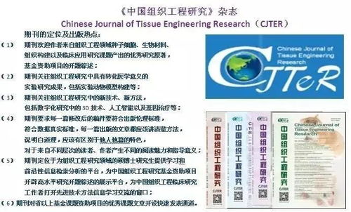 幼儿教育杂志投稿指南，字体与字号的规范要求