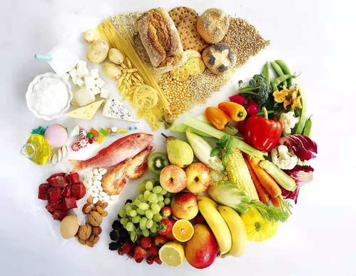 绘制食物营养金字塔，为孩子打造健康饮食的基石