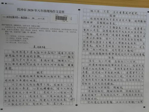 活动的乐趣，500字优秀作文的启示