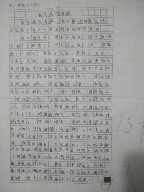 活动的乐趣，500字优秀作文的启示