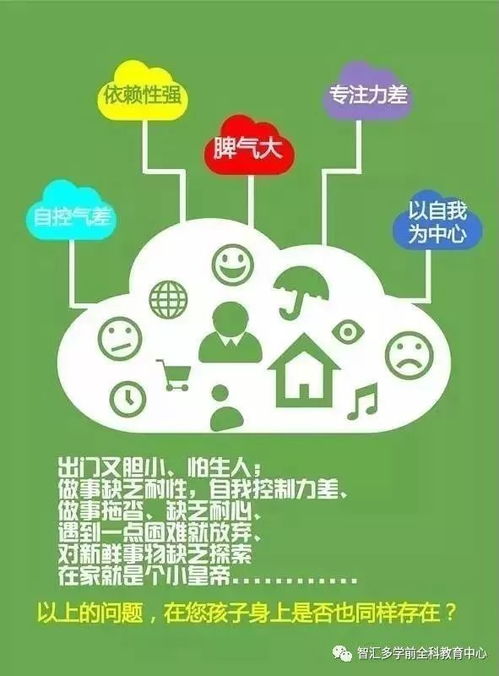 全面了解幼儿教育，专业课程概览与重要性