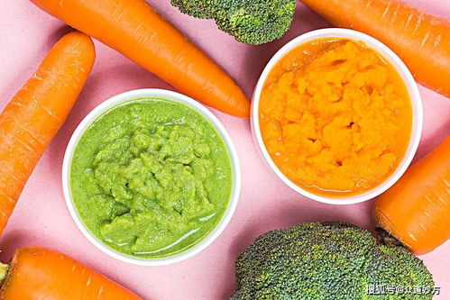 全面了解食物营养，为孩子健康成长打下坚实基础