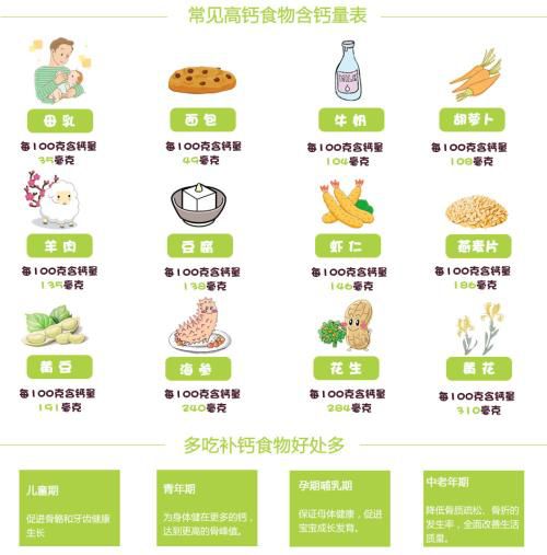 人体营养需求金字塔，为孩子打造均衡饮食的科学指南