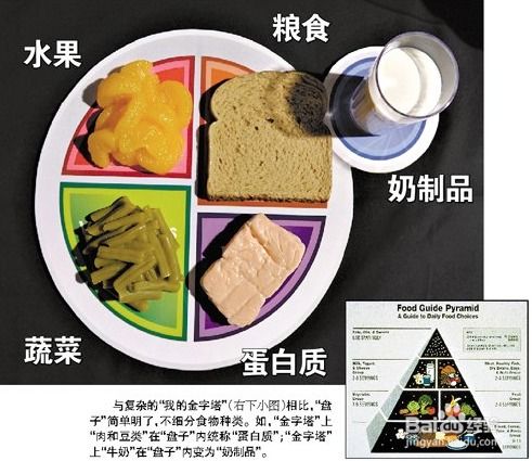 人体营养需求金字塔，为孩子打造均衡饮食的科学指南
