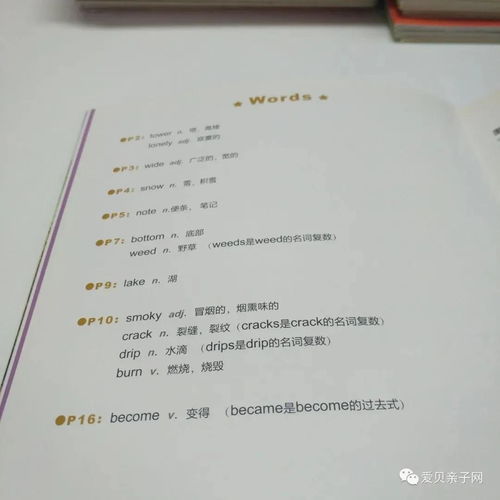 提升孩子英语能力的高级短句，育儿专家的实用指南