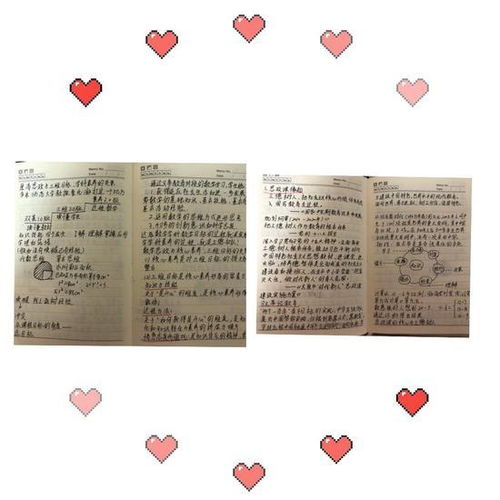 教师成长记录，教育实践与自我反思的融合之旅