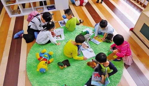 启蒙与成长，幼儿园教育的关键角色与视频教学的创新应用