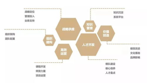 企业发展中心，企业成长的助推器
