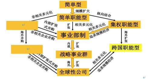企业发展规律，理解企业成长的内在逻辑