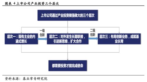 企业成长的秘诀，培养人才与创新思维