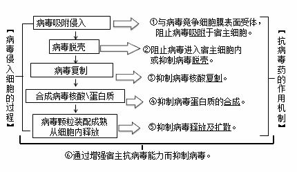 幼儿教育心理学，从理论到实践的演变历程