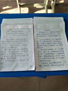 激发孩子创造力，300字活动作文的秘诀