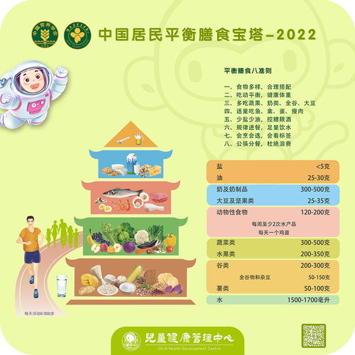 构建健康饮食，食物营养金字塔的科学指南