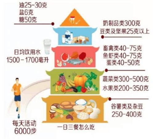 营养金字塔，儿童健康成长的营养指南