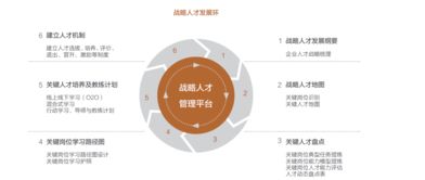 探索成长与发展的重要阶段，关键时期与育儿策略