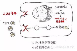 理解儿童发展，区分发展性问题与障碍性问题