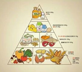 构建孩子的健康饮食，营养均衡金字塔的指南