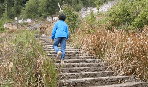 成长之路，探索影响孩子成长的多元因素