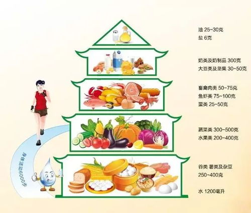膳食餐盘与膳食宝塔，营养均衡的科学指南