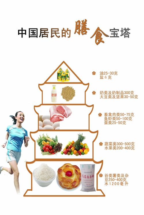膳食餐盘与膳食宝塔，营养均衡的科学指南
