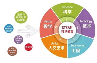 幼儿教育研究，探索早期学习与发展的关键要素