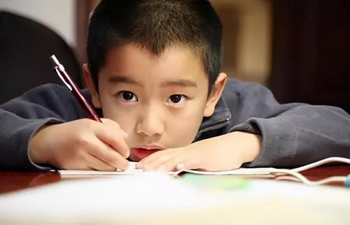 幼儿角色意识，理解孩子如何认识自我与他人