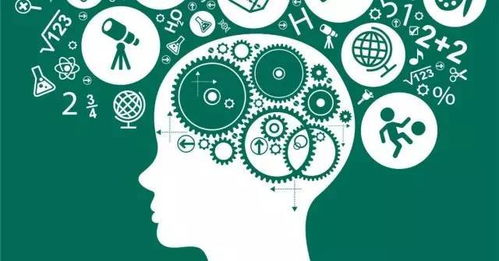 全面关注孩子的发展，身体、情感、社交与认知能力的均衡培养