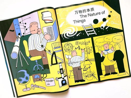 幼儿教育杂志摘抄与感悟，启迪与实践的桥梁