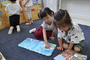 幼儿园玩玩乐主题活动反思，寓教于乐的实践与提升