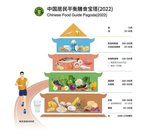 中国居民平衡膳食金字塔，构建健康育儿饮食的基础