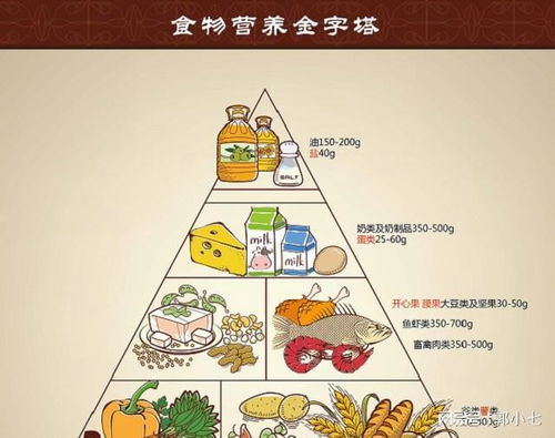 构建孩子的健康饮食，解读饮食营养金字塔