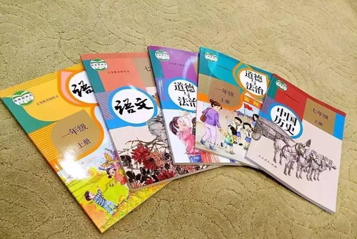 幼儿教育杂志读书心得，启迪智慧，培育未来